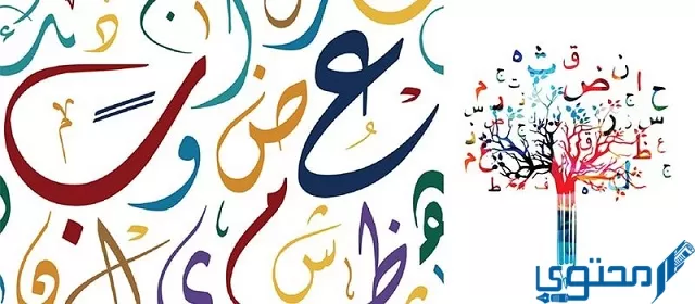 من الحروف التي ترتكز على السطر عند كتابتها