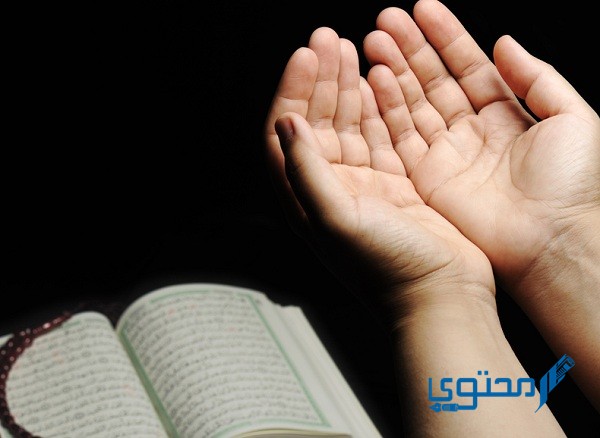 من هو الصحابي المستجاب الدعاء 1 من هو الصحابي المستجاب الدعاء
