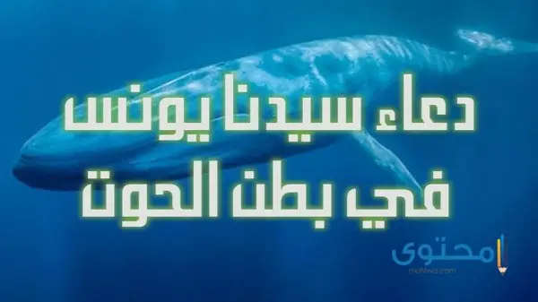 هو النبي الذي سماه الله ذا النون..