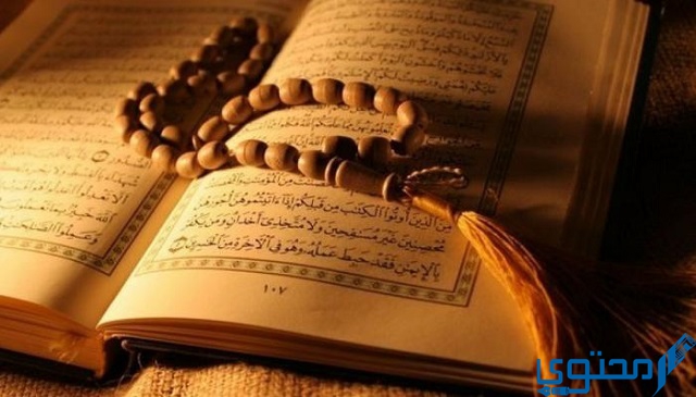 مواضع القسم في القرآن الكريم