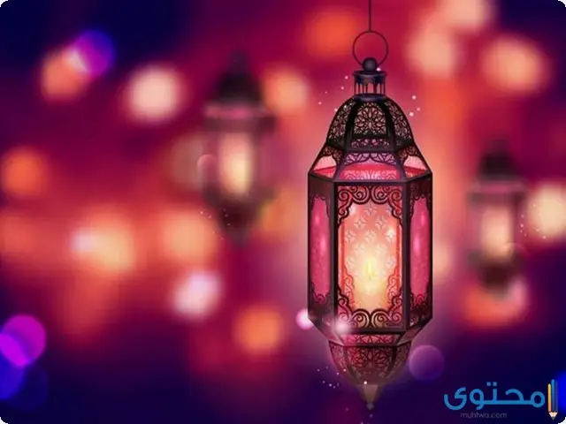 مواعيد عرض برامج رمضان