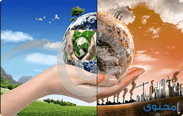 تعبير جديد عن البيئة الصالحة والبيئة الفاسدة 20203