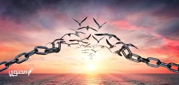 موضوع تعبير عن الحرية
