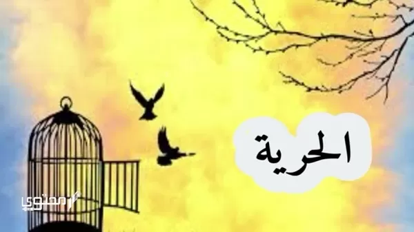 موضوع تعبير عن الحرية