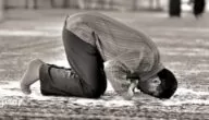 موضوع تعبير جديد عن الصلاة عماد الدين PDF بالمقدمة والخاتمة