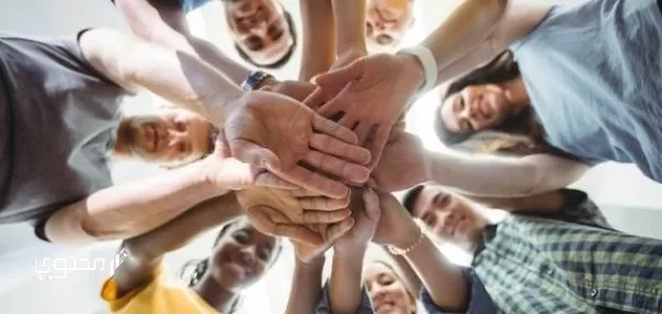 موضوع تعبير جديد عن دور الشباب في نهضة المجتمع 2024