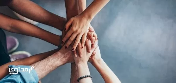 موضوع تعبير جديد عن دور الشباب في نهضة المجتمع 2024