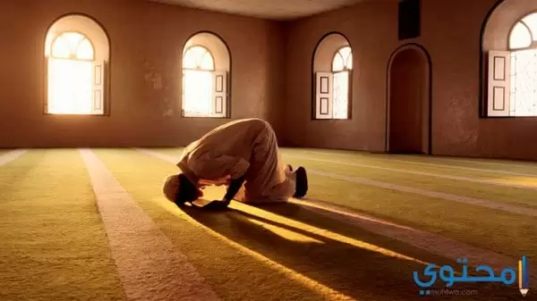 ركن الصلاة