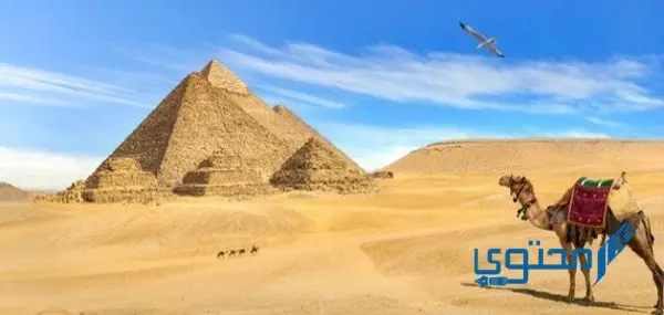 تعبير عن السياحة في مصر