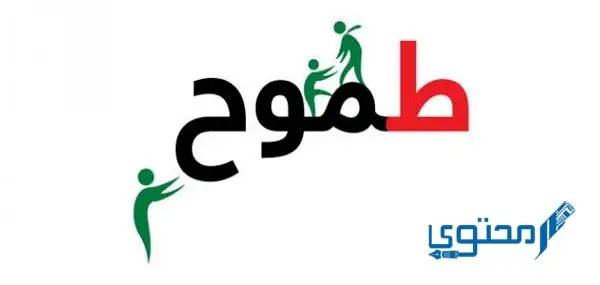 تعبير عن الطموح