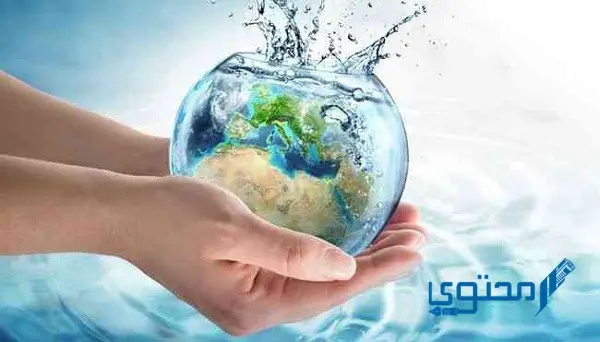 تعبير عن الماء سر الحياة بالعناصر