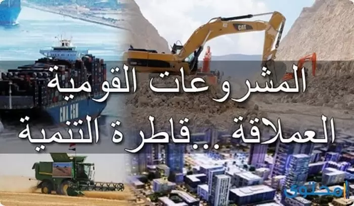 تعبير عن المشروعات القومية1