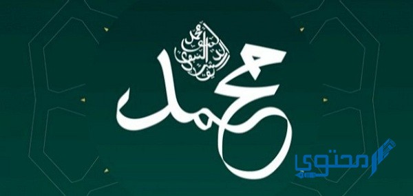 موضوع تعبير عن المولد النبوي الشريف بالعناصر كامل 1 تعبير عن المولد النبوي