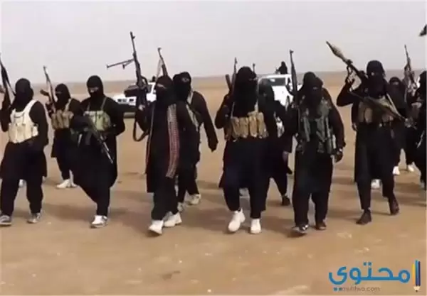 نشأة تنظيم داعش