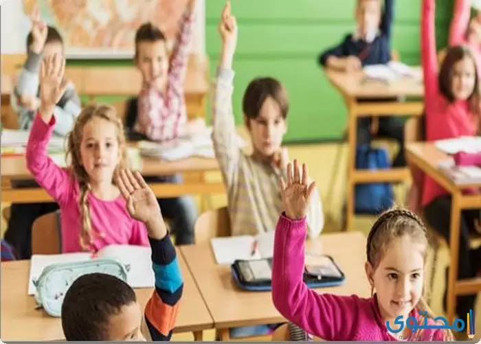 تعبير عن دور المعلم في حياة الطالب4