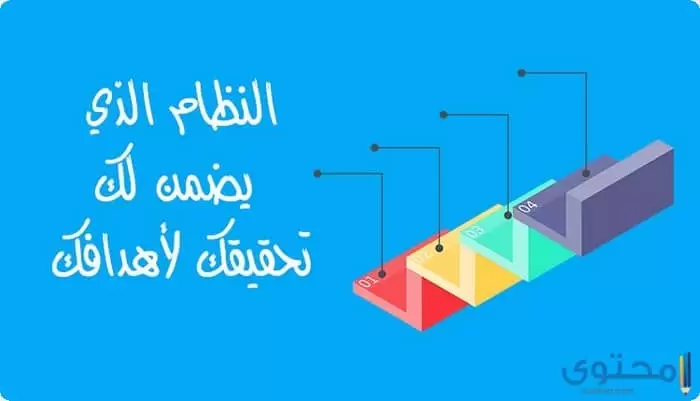 موضوع تعبير عن دور النظام في الحياة