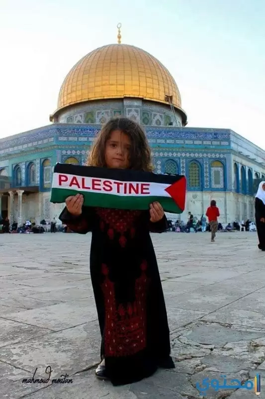موقع فلسطين ومناخها
