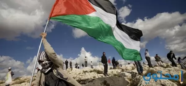 تاريخ فلسطين