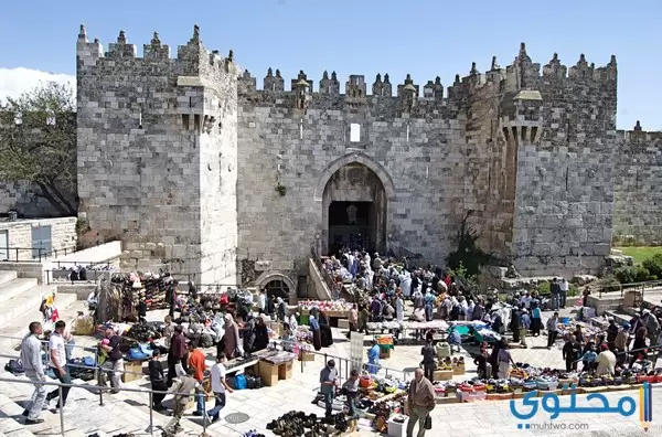 مكانة فلسطين الدينية