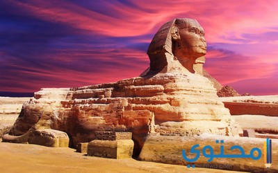 موضوع تعبير عن مصر بالعناصر وأهميتها كامل