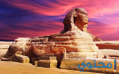 موضوع تعبير عن مصر أم الدنيا وأهميتها بالعناصر 1 تعبير عن مصر