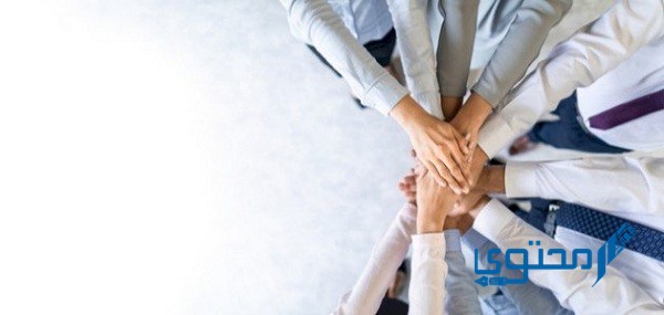 موضوع تعبير عن الوحدة الوطنية قوة والتفرق ضعف 1 موضوع تعبير عن الوحدة الوطنية
