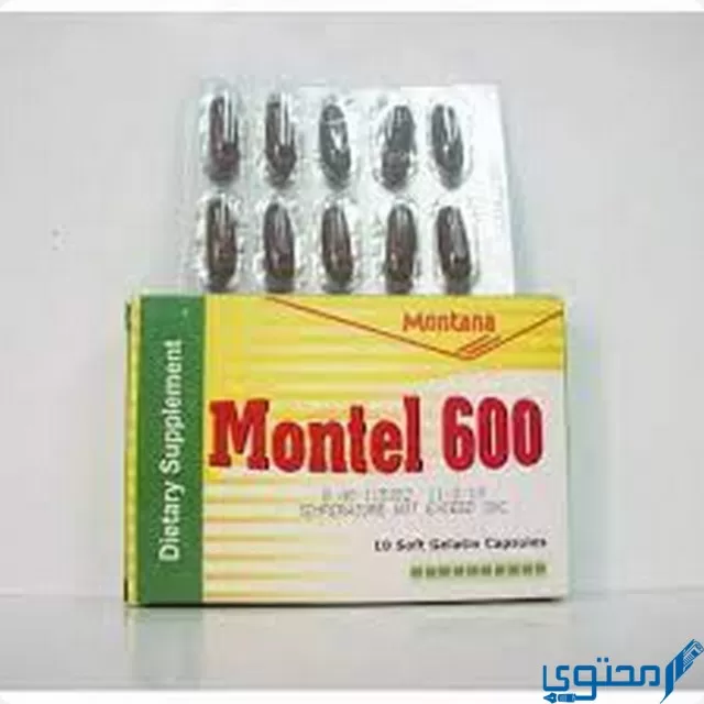 مونتيل 600