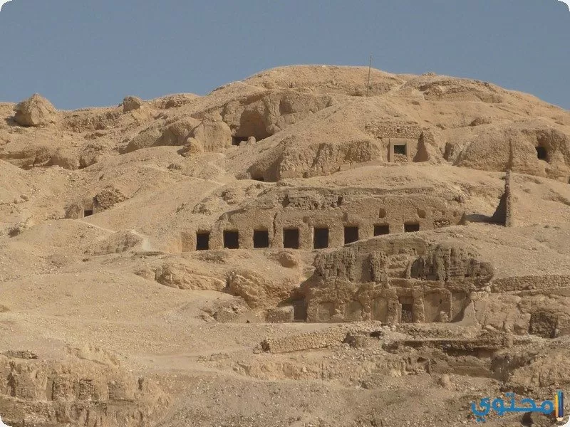 نبلاء1
