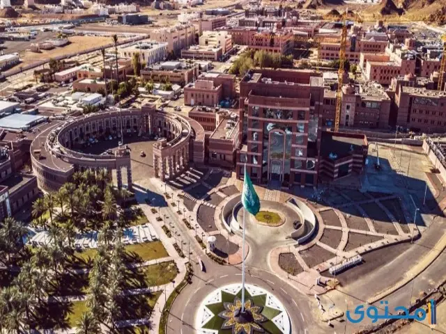 نسبة القبول في جامعة طيبة 
