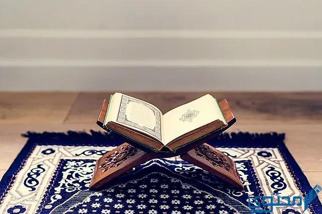 نصائح لختم القرآن الكريم في رمضان
