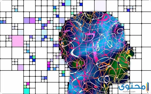 التعلم السلوكية وتطبيقاتها1
