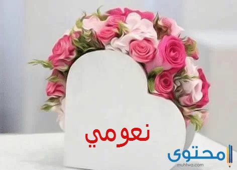 معنى اسم نعومي