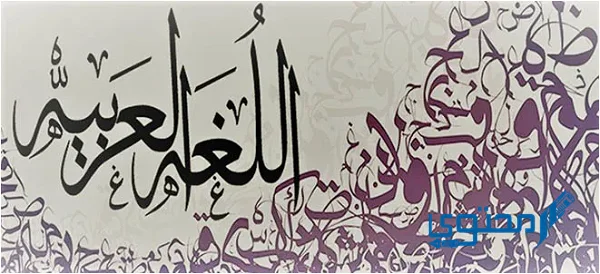 نوع المد في كلمة سعيد