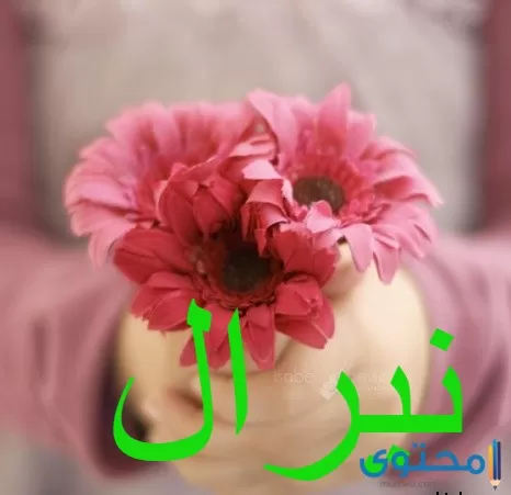 معنى اسم نيرال