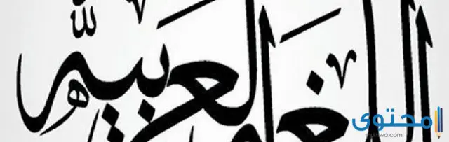 كيف خدمة الثورة المعلوماتية اللغة العربية