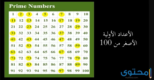 خصائص الأعداد الأولية