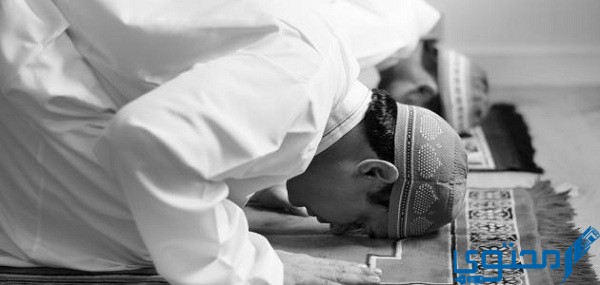 هل اليوم في صلاة تهجد 1444 1 هل اليوم في صلاة تهجد
