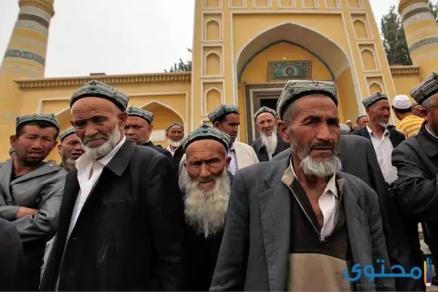 هل تعلم عن مسلمي الإيغوار