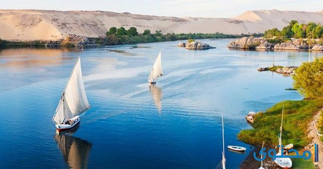 هل تعلم عن نهر النيل مفيد وقصير