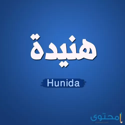 معنى اسم هنيدة