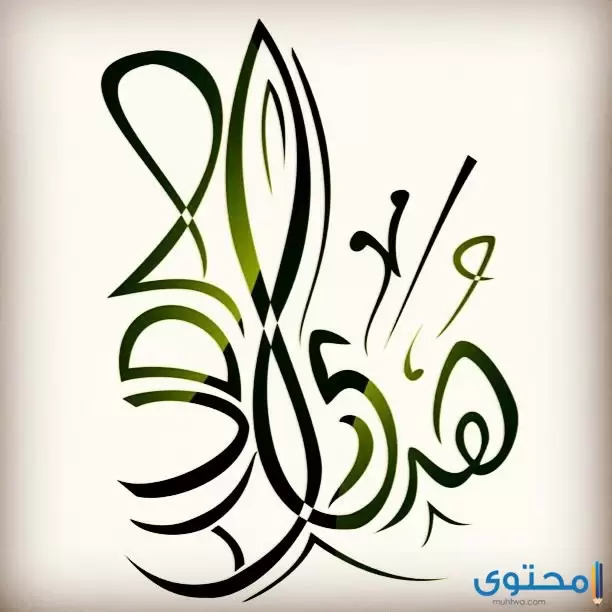 معني اسم هدي
