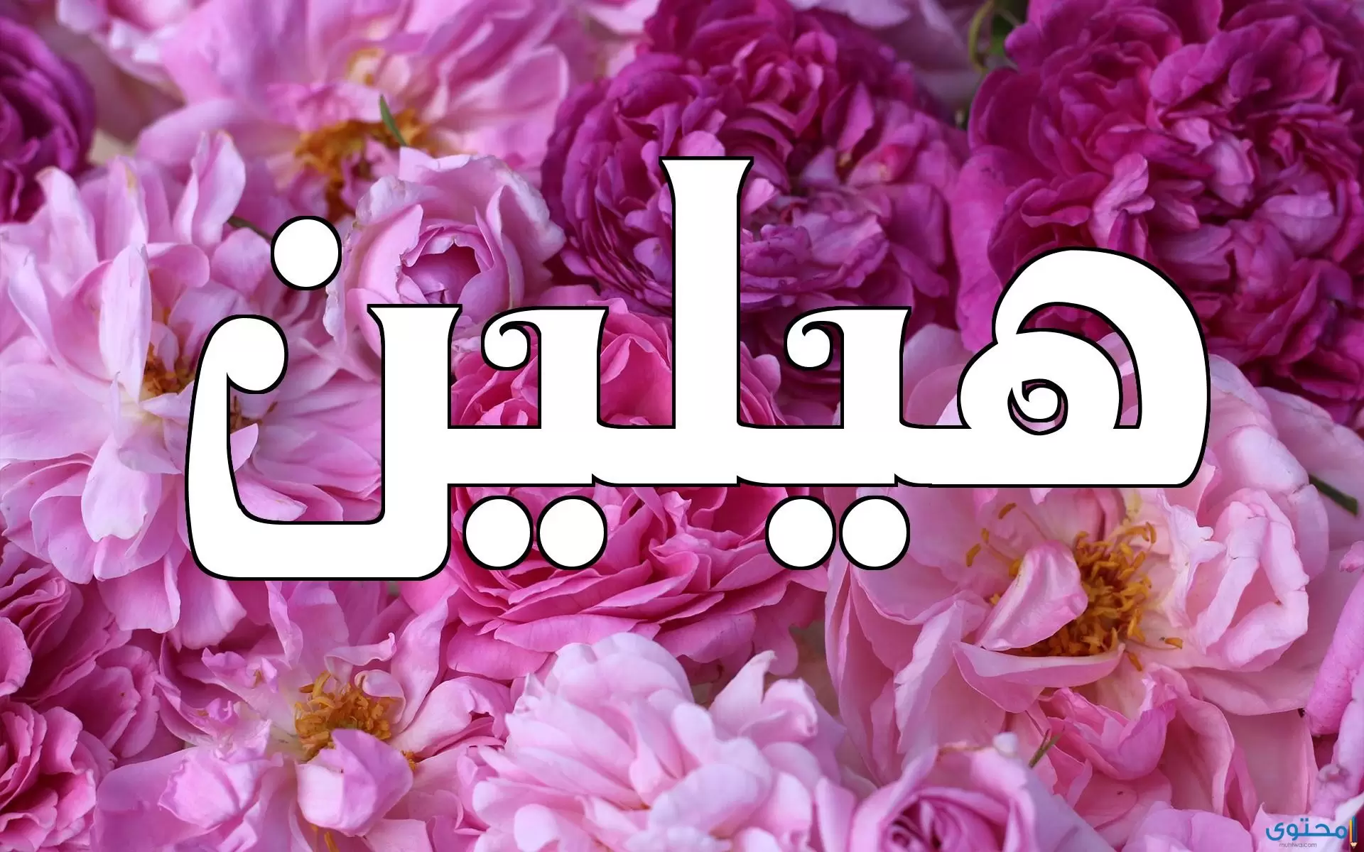 معنى اسم هيلين
