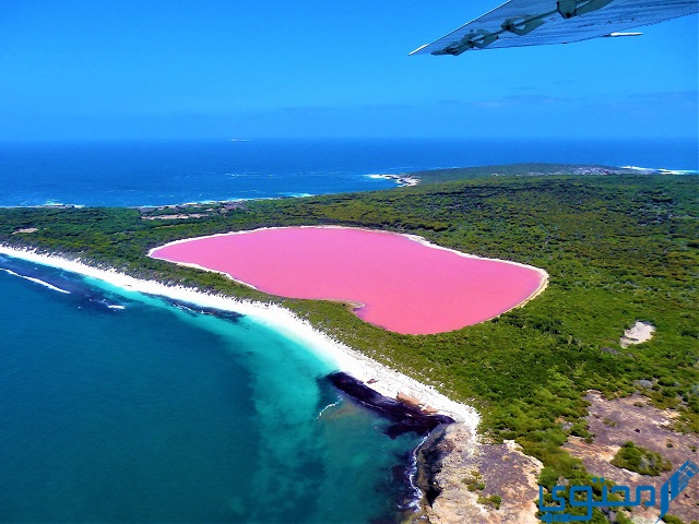 وصف بحيرة هيلير الوردية