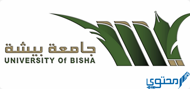 وظائف جامعة بيشة للرجال والنساء 1444 1 وظائف جامعة بيشة
