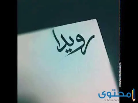 معنى اسم رويدا