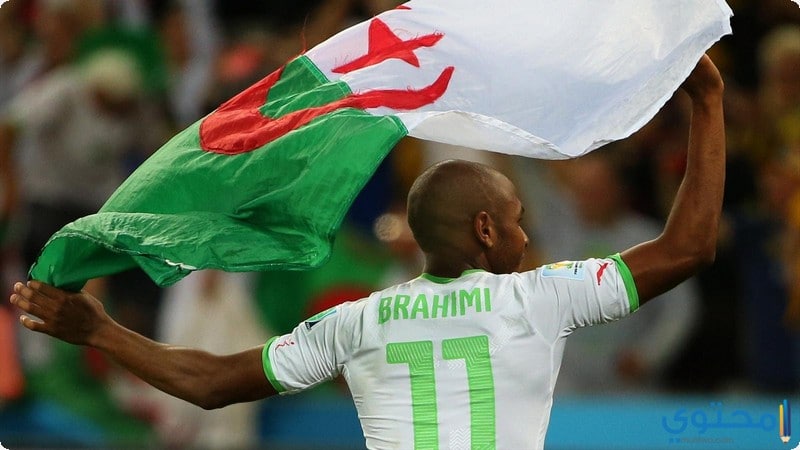 ياسين03.jpg