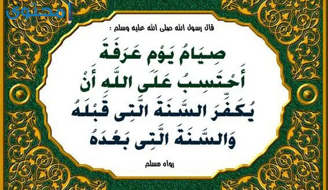 تاريخ وقفة عرفات 