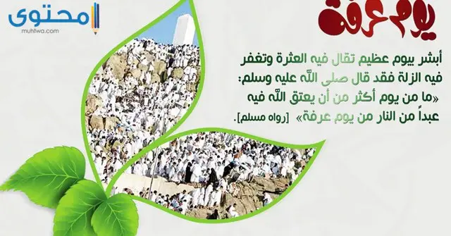 فضل يوم عرفة